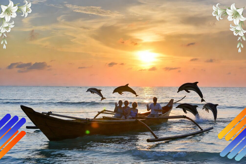 LOVINA DOLPHIN TOUR