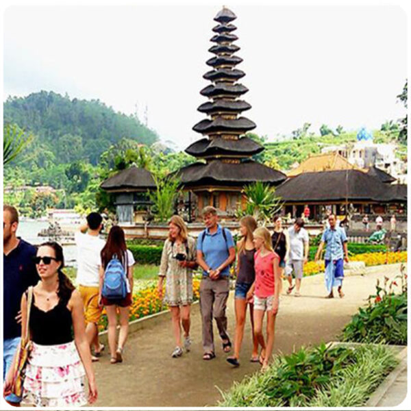Tours & Transfers Deal 25-Guest - Image 23