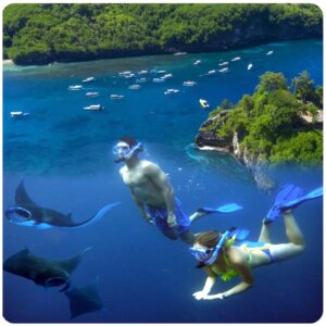 Nusa Penida Snorkeling and Tour Combination package