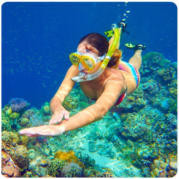 Bali Snorkeling Paradise + Parasailing Adventure at Nusa Dua Beach - Image 2