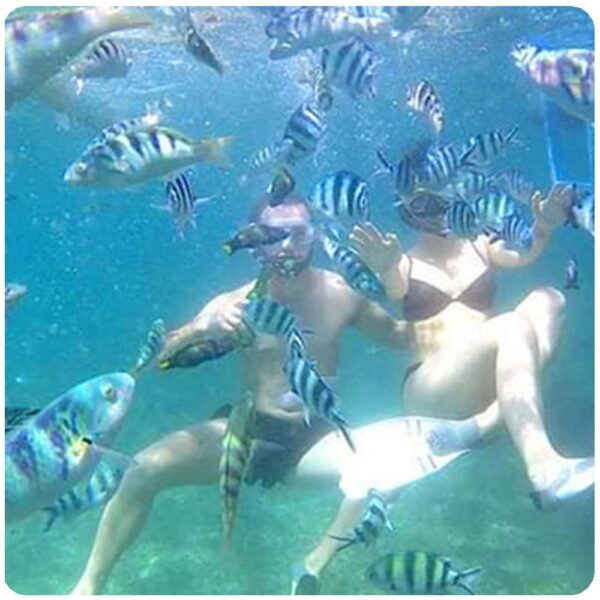 Bali Snorkeling Paradise + Parasailing Adventure at Nusa Dua Beach - Image 4