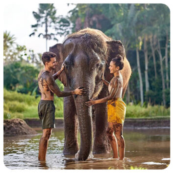 Bali Zoo Elephant Mud Fun