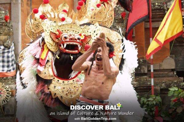 60 minutes Barong Dance Performance in Batu Bulan - Ubud Bali - Image 6