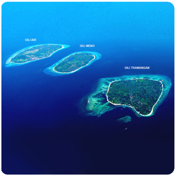 Bali: Fast Boat Ticket to Gili Trawangan, Gili Air, Gili Meno with EkaJaya Boats - Image 4