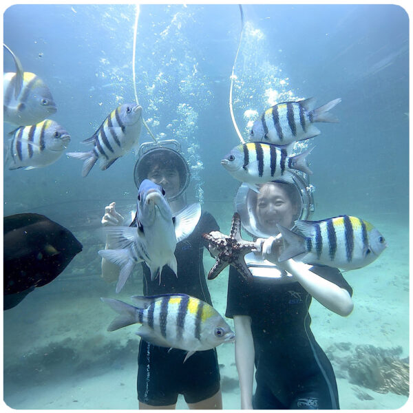 Ocean Walks at Nusa Dua Beach, Water sport center - Image 3