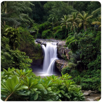 Tegenungan Waterfall Ubud Tour