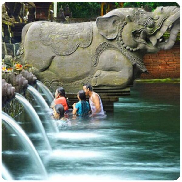 Penglipuran Village Tour with Volcano, Tirta Empul Sacred Water Spring Temple and Gunung Kawi - Image 20