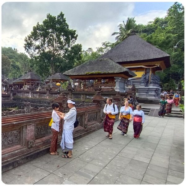 Penglipuran Village Tour with Volcano, Tirta Empul Sacred Water Spring Temple and Gunung Kawi - Image 16