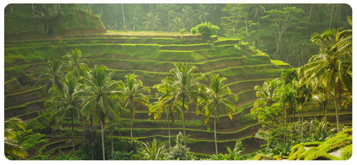 Bali 13h Round Trip 1