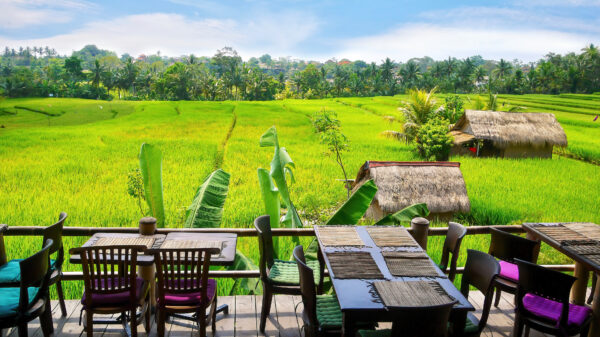 UNESCO World Heritage Rice Terraces Tour - Image 18