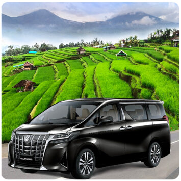 Bali Car Rentals, Alphard Transformer