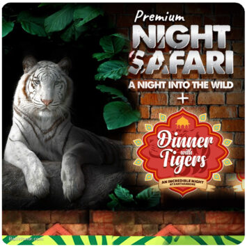 Night Safari Premium + Dinner at Bali Safari and Marine Park
