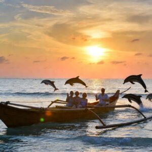 DOLPHIN WATCHING AT LOVINA