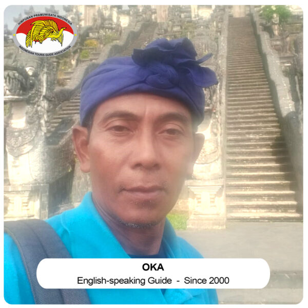 Hire A Professional Tour Guide (up to 29 guests) - Image 17