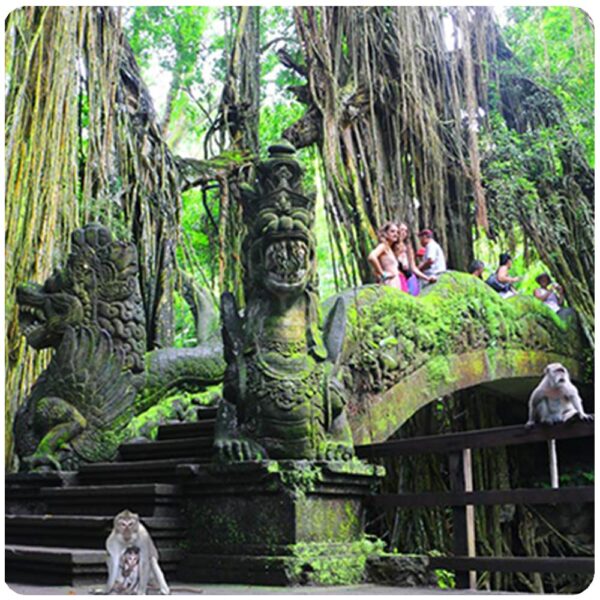 Ubud Culture & Nature Tour (8hrs)