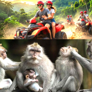 Ubud ATV Adventure + Monkey Forest