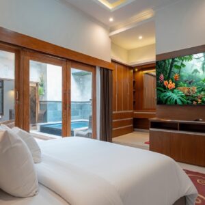 SMART TOWN PRIVATE POOL HOUSE DENPASAR - BALI